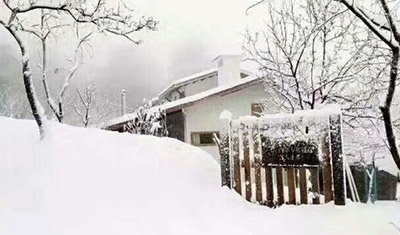 重庆缙云小住民宿燃木壁炉案例