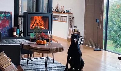 上海长岛庄园F900真火壁炉案例