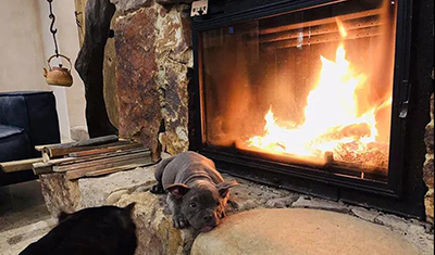 安装燃木壁炉?你有考虑儿童和宠物安全吗？